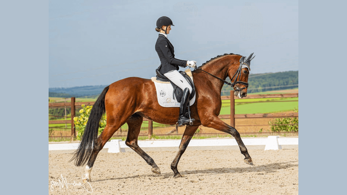 Fräulein Smilla wins second place in the Dressurpferde M