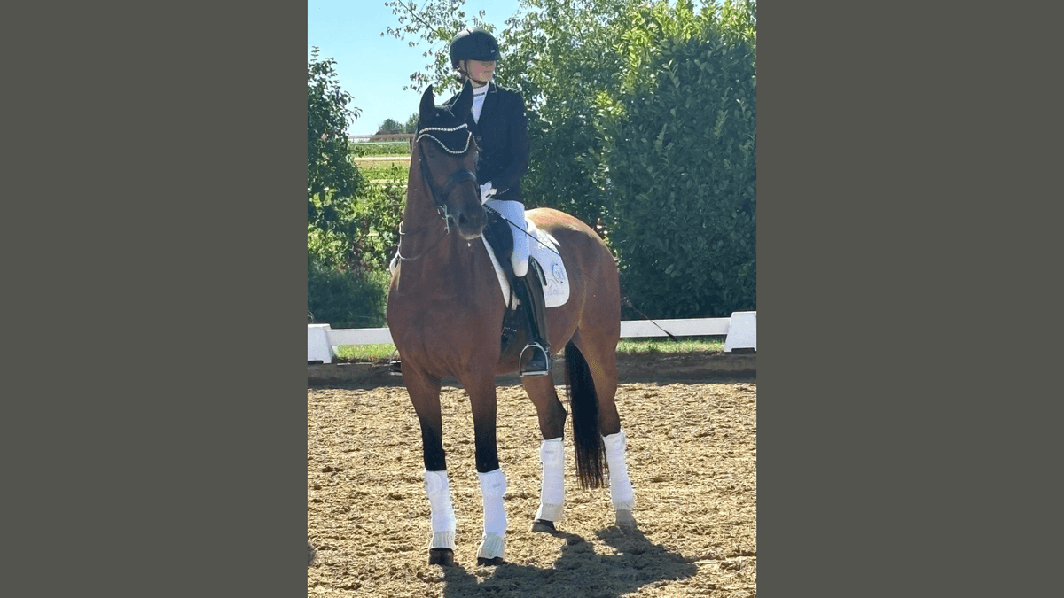 Fräulein Smilla finishes second in the M* dressage and places in the M** dressage