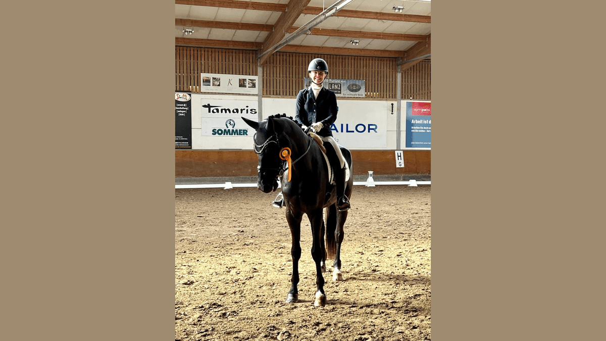 Fürstengold wins the Dressurpferde A