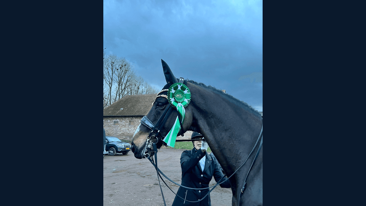 Raver proves himself in M** Dressage