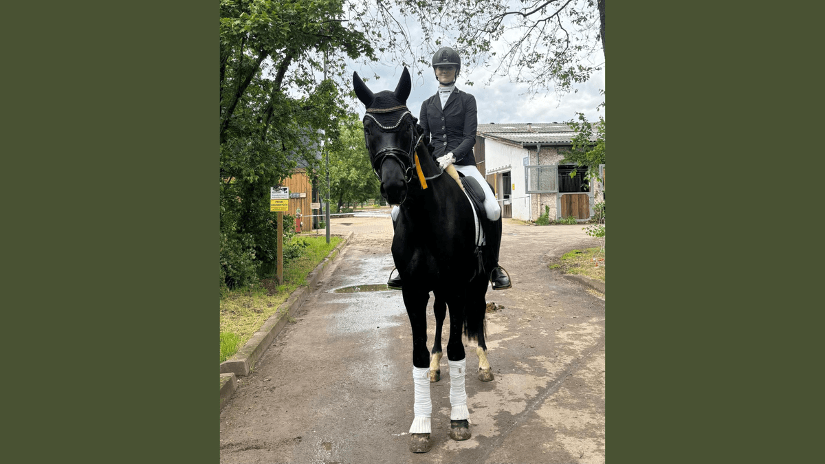 Secret Love M Wins the Reitpferde with Outstanding 8.7
