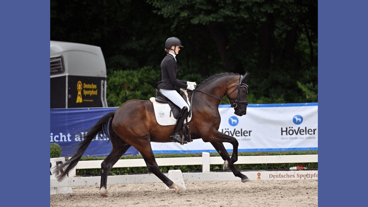 Secret Love M Qualifies for the Bundeschampionat